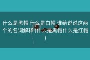 什么是黑帽 什么是白帽 谁给说说这两个的名词解释 (什么是黑帽什么是红帽)