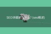 SEO详细是指什么? (seo概述)