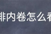还有那些快排技术 SEO快排揭秘 极速排名除了互点软件刷IP (快排速度最快的情形)