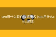 seo用什么软件快速排名 (seo用什么cms建站)