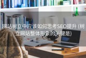 网站树立中应该如何思考SEO提升 (树立网站整体形象的关键是)