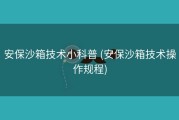 安保沙箱技术小科普 (安保沙箱技术操作规程)
