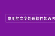 WPS软件如何优化减速 (wps软件如何下载)