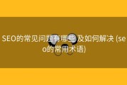 SEO的常见问题有哪些 及如何解决 (seo的常用术语)