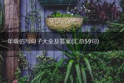 仿写是什么的考试题 (仿写是什么的意思)
