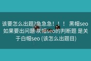 该要怎么出题?急急急！！！ 黑帽seo 如果要出问题 灰帽seo的判断题 是关于白帽seo (该怎么出题目)