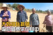 总破费各指什么 关键词展现数 点击数 平均多少钱 点击率 (什么叫破费)