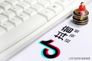 seo短视频网页入口引流网址 (seo短视频网页入口引流网站)