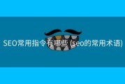 SEO常用指令有哪些 (seo的常用术语)