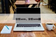 分析sem，分析sem图