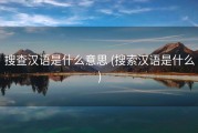 搜查汉语是什么意思 (搜索汉语是什么)