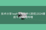 技术分享!wpk作弊软件!(透视)2024爆款平台-哔哩哔哩