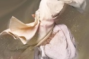 如何奇妙应用百度统计剖析SEO战略 (奇妙软件怎么找切入点)