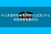 什么本国鸡和本地鸡有什么区别 (什么本国鸡和鸭最好吃)