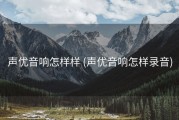 声优音响怎样样 (声优音响怎样录音)