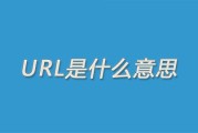 URL是什么? (url是什么格式文件)