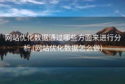 网站优化数据通过哪些方面来进行分析 (网站优化数据怎么做)