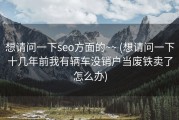 想请问一下seo方面的~~ (想请问一下十几年前我有辆车没销户当废铁卖了怎么办)