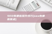 SEO有哪些提升技巧 (seo有哪些优点)