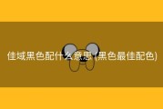 佳域黑色配什么意思 (黑色最佳配色)