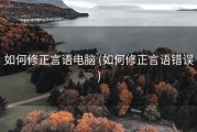 如何修正言语电脑 (如何修正言语错误)