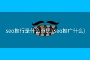 seo推行是什么意思 (seo推广什么)