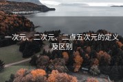 一次元、二次元、二点五次元的定义及区别