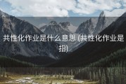 共性化作业是什么意思 (共性化作业是指)