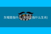 灰帽是指什么 (灰帽是指什么生肖)