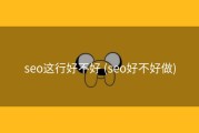 seo这行好不好 (seo好不好做)