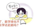 如何优化高三总温习效果 (高三优化方案)
