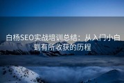 白杨SEO实战培训总结：从入门小白到有所收获的历程