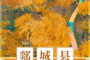 在县城里开一家体育用品专卖店前景如何 (在县城里开一家婚介公司)
