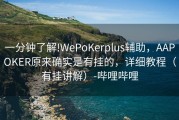 一分钟了解!WePoKerplus辅助，AAPOKER原来确实是有挂的，详细教程（有挂讲解）-哔哩哔哩