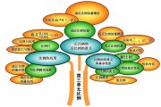 六年级上册数学第二单元思想导图怎样画呢 (六年级上册数学)