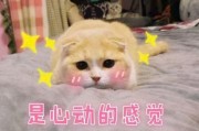 9月6日妹の日：妹之空穹妹的超兄妹之恋及复杂情感