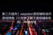 第三方插件！wepoker透视辅助挂的游戏特色（一分钟了解下透视辅助软件）-哔哩哔哩