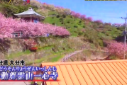 日本寺庙二次元化将自家寺庙改成现在这个样子