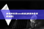 哪里有收费seo教程 (哪里有收费机油的)