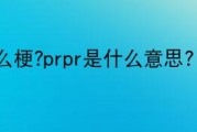 WordPress谷歌多言语翻译插件TranslatePress 最新版v2.2.3 Pro 所有裁减 (wordpress)