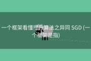 一个框架看懂提升算法之异同 SGD (一个框架是指)