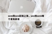 sem和seo区别上海，seo和sem哪个更有前景