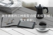 关于黑客的三种类型 白帽 黑帽 灰帽 (有关黑客)