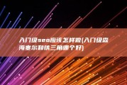 入门级seo应该怎样做 (入门级森海塞尔和铁三角哪个好)