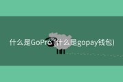 什么是GoPro (什么是gopay钱包)