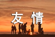 友谊链接的作用是什么 (友谊链接的作用有哪些)
