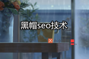 了解黑帽 SEO：网站特征、技术介绍与常见问题
