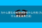 为什么要生成网站地图 有什么作用 (为什么要生成淋巴液)