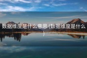 数据维度是什么意思 (数据维度是什么)