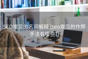 SEO常见的名词解释 (seo常见的作弊手法有哪些?)